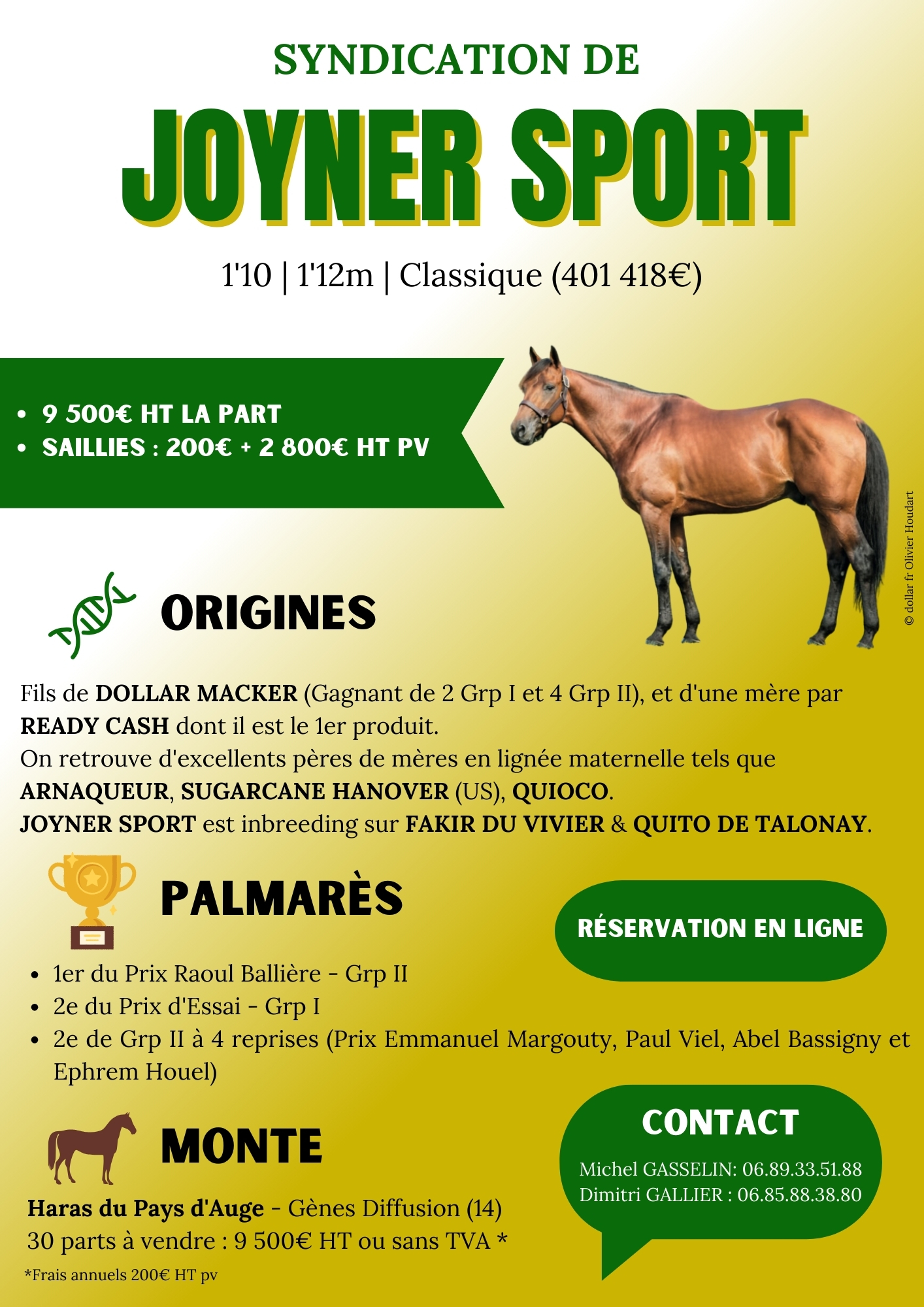 Syndication JOYNER SPORT